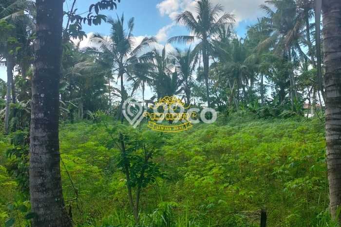 Tanah Kavling Dijual di Lodtunduh, Gianyar dengan Luas Tanah 4500m2 Tanah Kavling Dijual di Lodtunduh, Gianyar dengan Luas Tanah 4500m2