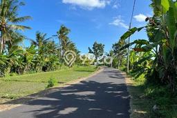 Tanah Strategis Dijual di Kediri Tabanan 1800m2 Tanah Strategis Dijual di Kediri Tabanan 1800m2
