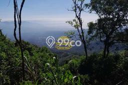 Untuk Dijual Tanah di Buleleng, Luas 50000m2 SHM Untuk Dijual Tanah di Buleleng, Luas 50000m2 SHM