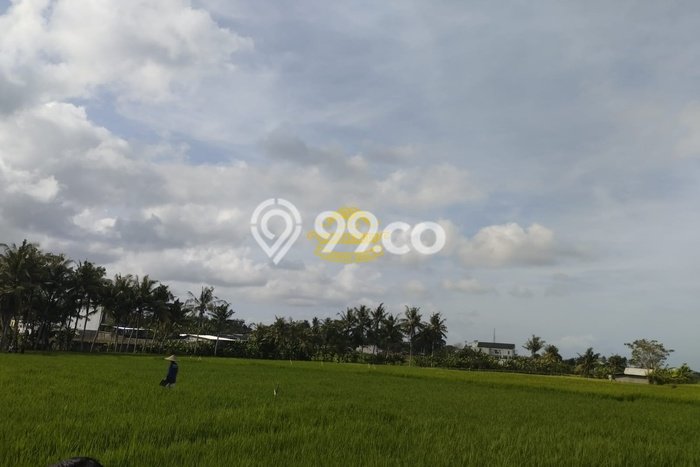 Tanah Dijual di Tabanan Seluas 1640m2 Strategis Tanah Dijual di Tabanan Seluas 1640m2 Strategis