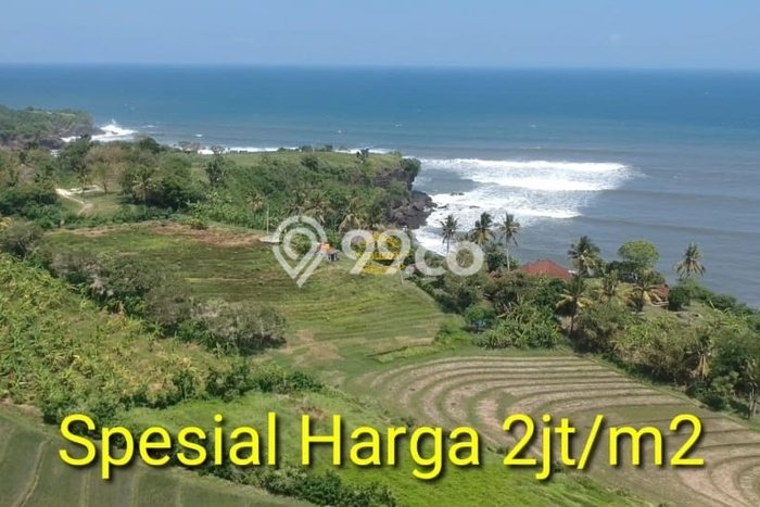 Tanah Dijual Lokasi Strategis di Tabanan dengan Luas 3300m2 Tanah Dijual Lokasi Strategis di Tabanan dengan Luas 3300m2