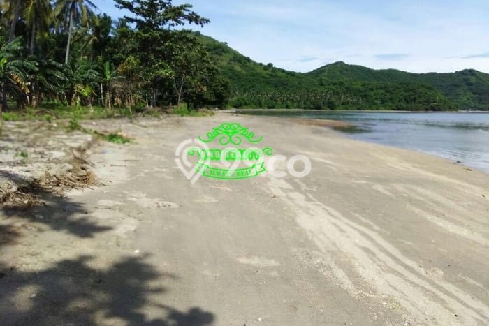 Tanah Dijual Lokasi Strategis di Lombok Barat dengan Luas 139305m2 Tanah Dijual Lokasi Strategis di Lombok Barat dengan Luas 139305m2