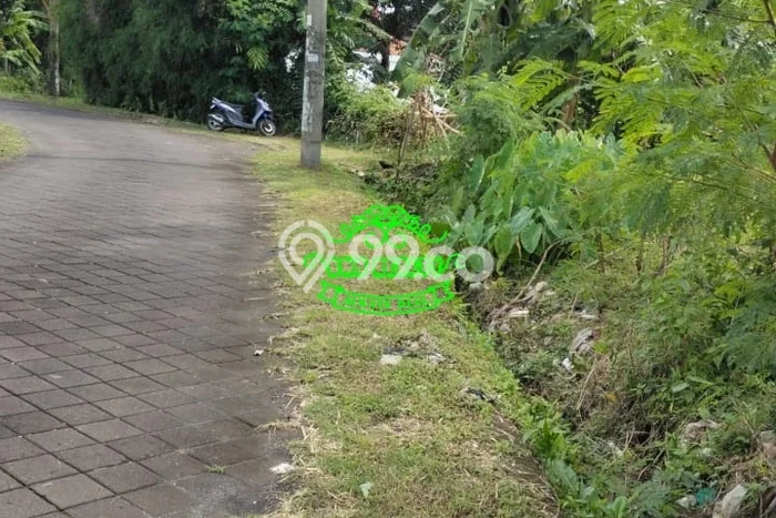Lahan Dijual Lokasi Strategis di Badung dengan Luas 5000m2 Lahan Dijual Lokasi Strategis di Badung dengan Luas 5000m2