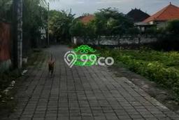 Tanah Siap Bangun Dijual di Badung Punya Luas 5000m2 Tanah Siap Bangun Dijual di Badung Punya Luas 5000m2