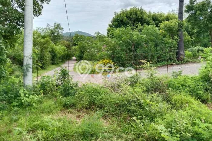 Dijual Tanah Lokasi Sumberkimia, Buleleng Seluas 6000m2 Dijual Tanah Lokasi Sumberkimia, Buleleng Seluas 6000m2