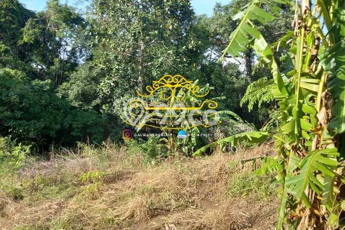Tanah Kavling Dijual di Badung dengan Spesifikasi 1400m2 Tanah Kavling Dijual di Badung dengan Spesifikasi 1400m2