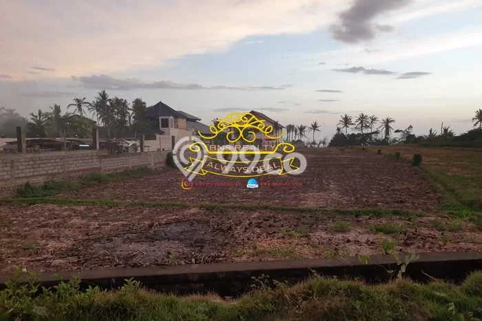 Tanah Dijual di Tabanan Seluas 4650m2 Strategis Tanah Dijual di Tabanan Seluas 4650m2 Strategis