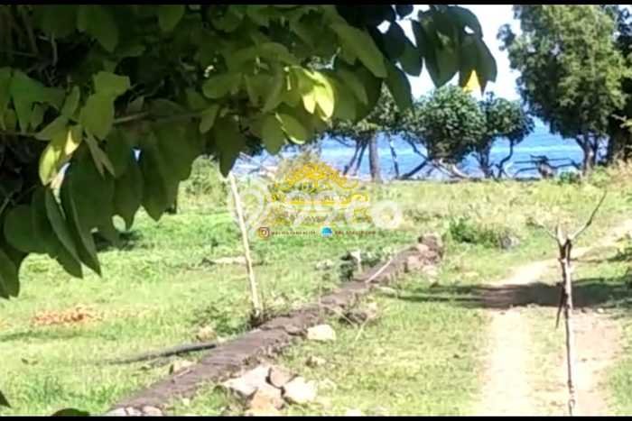 Tanah Dijual Area Strategis di Pemuteran Buleleng 4200m2 Tanah Dijual Area Strategis di Pemuteran Buleleng 4200m2