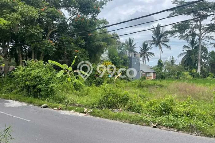 Tanah Dijual Area Strategis di Petulu Gianyar 1288m2 Tanah Dijual Area Strategis di Petulu Gianyar 1288m2