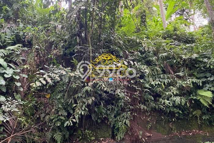 Lahan Dijual Lokasi Strategis di Gianyar dengan Luas 1200m2 Lahan Dijual Lokasi Strategis di Gianyar dengan Luas 1200m2