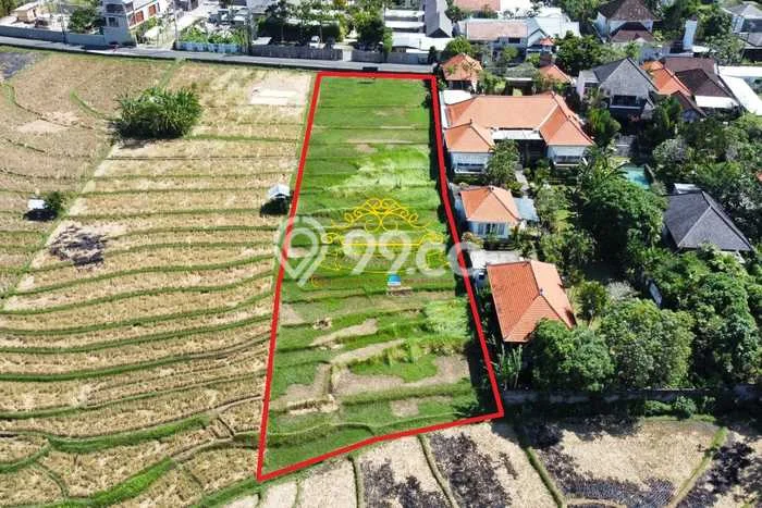 Dijual Tanah Lokasi Umalas, Badung Seluas 2000m2 Dijual Tanah Lokasi Umalas, Badung Seluas 2000m2