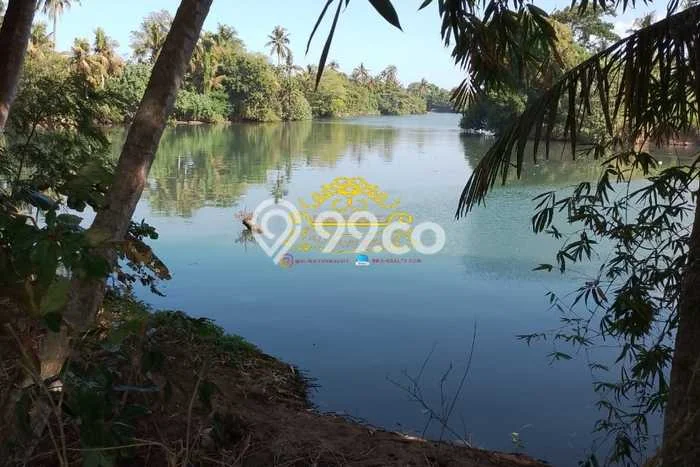 Tanah Siap Bangun Dijual di Tabanan Punya Luas 2550m2 Tanah Siap Bangun Dijual di Tabanan Punya Luas 2550m2