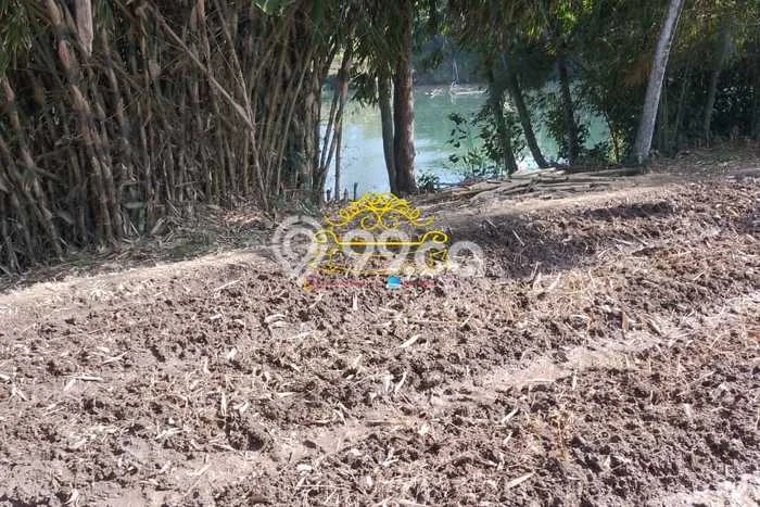 Tanah Siap Bangun Dijual di Tabanan Punya Luas 2550m2 Tanah Siap Bangun Dijual di Tabanan Punya Luas 2550m2