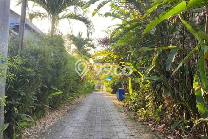 Tanah Investasi Dijual di Badung Punya Luas 800m2 Tanah Investasi Dijual di Badung Punya Luas 800m2