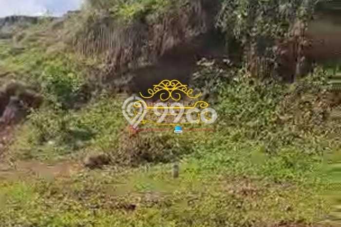 Tanah Siap Bangun Dijual di Badung Punya Luas 6700m2 Tanah Siap Bangun Dijual di Badung Punya Luas 6700m2