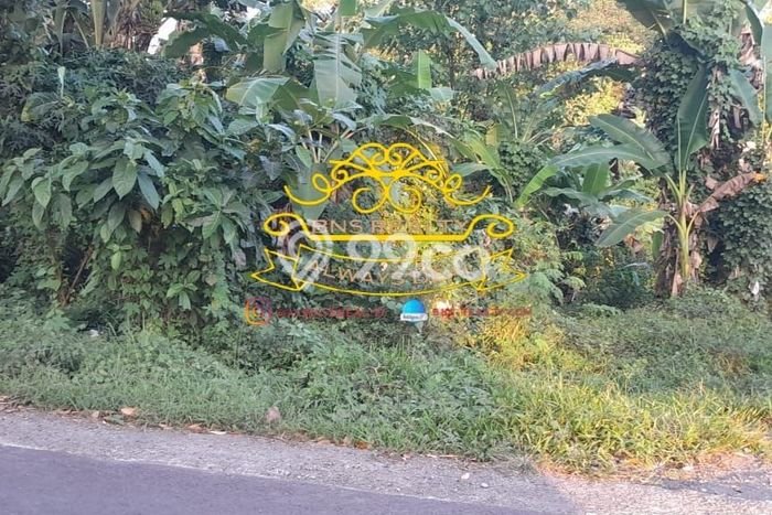 Tanah Kavling Dijual di Beraban, Tabanan dengan Luas Tanah 1500m2 Tanah Kavling Dijual di Beraban, Tabanan dengan Luas Tanah 1500m2