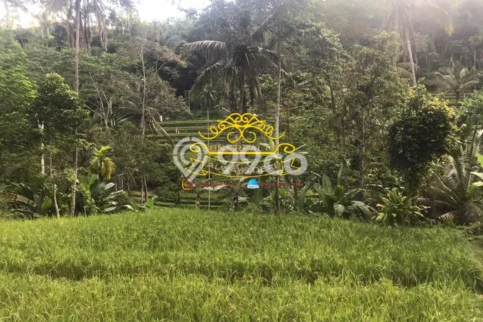 Tanah Kavling Dijual di Gianyar dengan Spesifikasi 2300m2 Tanah Kavling Dijual di Gianyar dengan Spesifikasi 2300m2