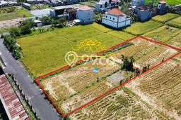 Tanah Kosong Dijual di Denpasar dengan Area 1300m2 Tanah Kosong Dijual di Denpasar dengan Area 1300m2