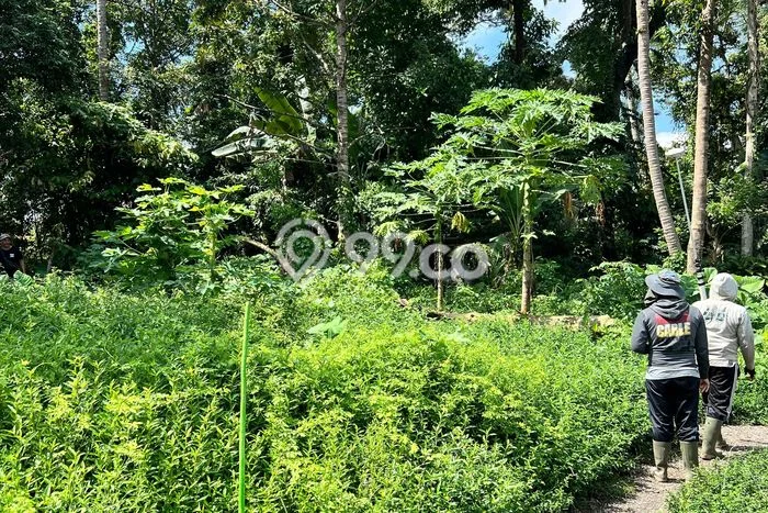 Untuk Dijual Tanah di Gianyar, Luas 1060m2 SHM Untuk Dijual Tanah di Gianyar, Luas 1060m2 SHM