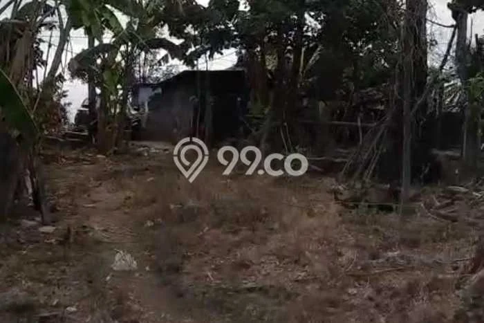 Untuk Dijual Tanah 8200m2 di Tembok, Buleleng Untuk Dijual Tanah 8200m2 di Tembok, Buleleng
