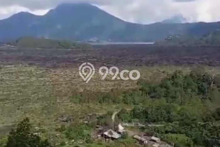 Tanah Kavling di Kintamani Dijual dengan Luas 6300m2 Tanah Kavling di Kintamani Dijual dengan Luas 6300m2