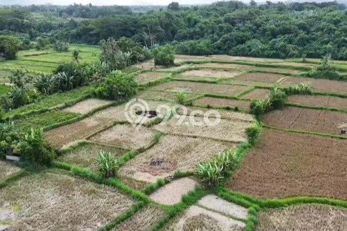 Tanah Dijual Area Strategis di Temesi Gianyar 220000m2 Tanah Dijual Area Strategis di Temesi Gianyar 220000m2
