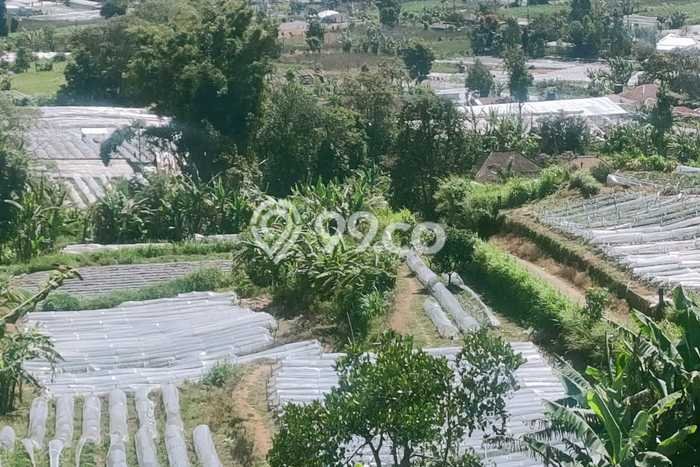 Tanah Dijual di Buleleng Seluas 15000m2 Strategis Tanah Dijual di Buleleng Seluas 15000m2 Strategis