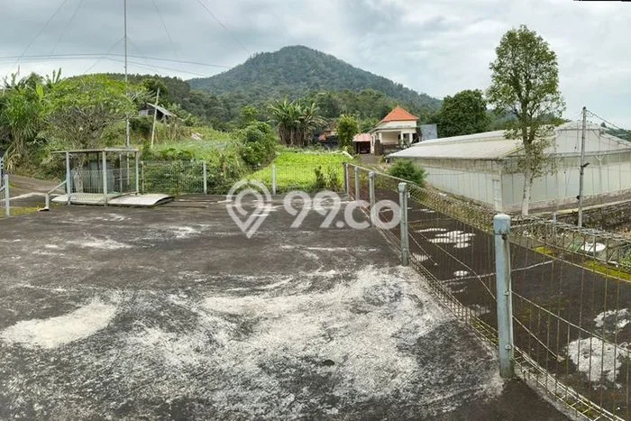Tanah Dijual Area Strategis di Pancasari Buleleng 1390m2 Tanah Dijual Area Strategis di Pancasari Buleleng 1390m2