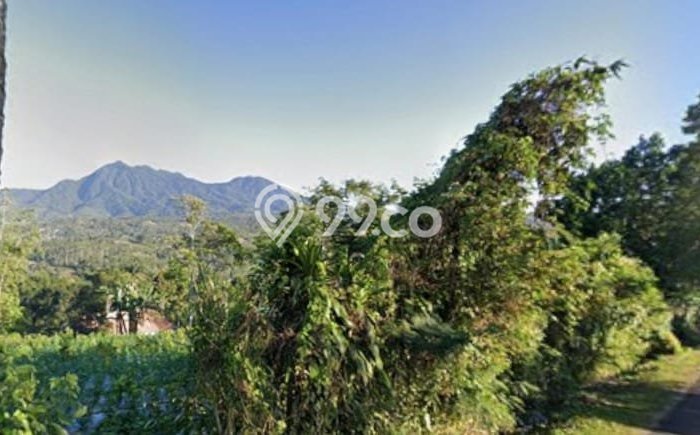 Tanah di Petang, Badung Luas 6800m2 Dijual Segera Tanah di Petang, Badung Luas 6800m2 Dijual Segera