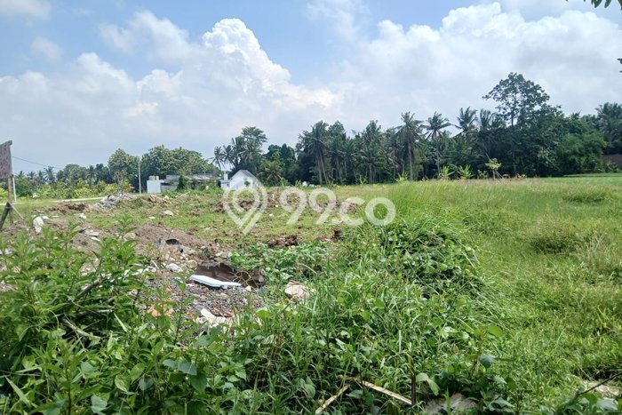 Tanah Siap Bangun Dijual di Gianyar Punya Luas 500m2 Tanah Siap Bangun Dijual di Gianyar Punya Luas 500m2