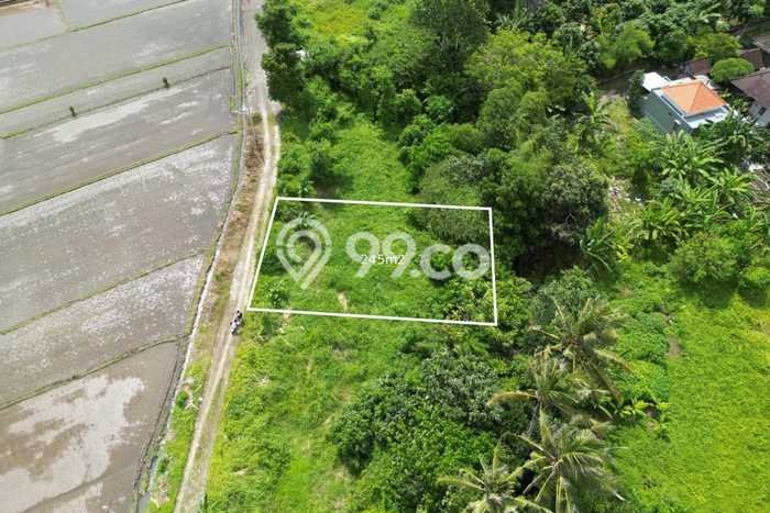 Dijual Tanah 735m2 di Kedungu, Tabanan Dijual Tanah 735m2 di Kedungu, Tabanan