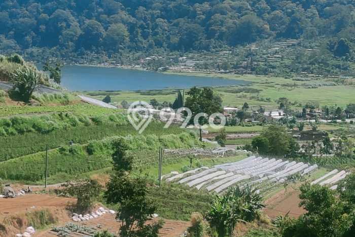 Tanah Dijual di Buleleng Seluas 15000m2 Strategis Tanah Dijual di Buleleng Seluas 15000m2 Strategis