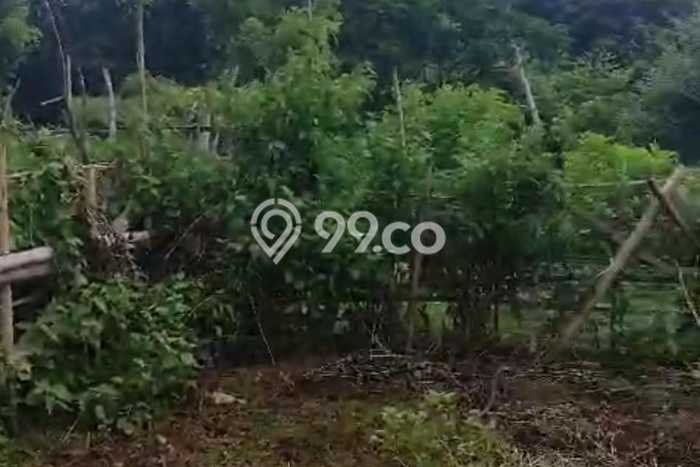 Untuk Dijual Tanah di Badung, Luas 400m2 SHM Untuk Dijual Tanah di Badung, Luas 400m2 SHM