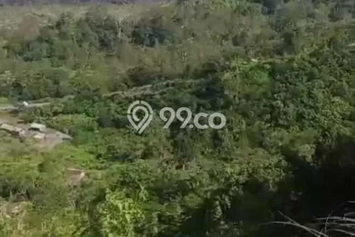 Tanah Kavling di Kintamani Dijual dengan Luas 6300m2 Tanah Kavling di Kintamani Dijual dengan Luas 6300m2