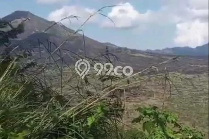 Tanah Kavling di Kintamani Dijual dengan Luas 6300m2 Tanah Kavling di Kintamani Dijual dengan Luas 6300m2
