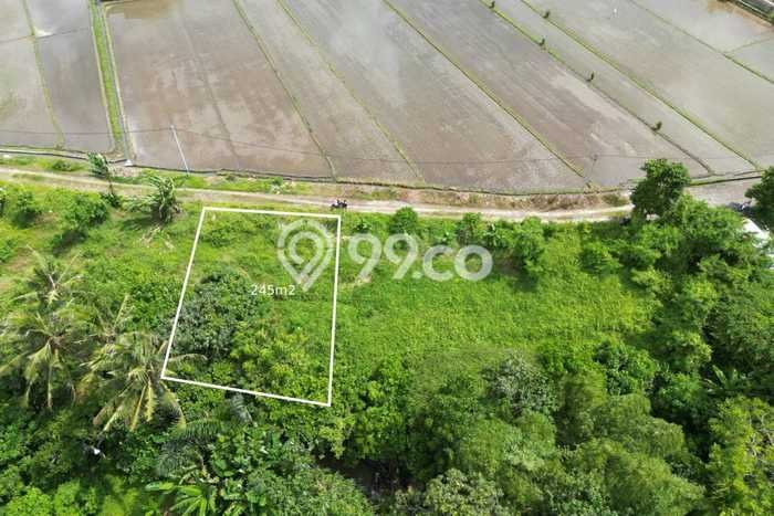 Dijual Tanah 735m2 di Kedungu, Tabanan Dijual Tanah 735m2 di Kedungu, Tabanan