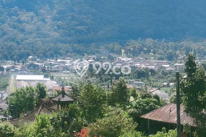 Tanah Dijual di Buleleng Seluas 15000m2 Strategis Tanah Dijual di Buleleng Seluas 15000m2 Strategis