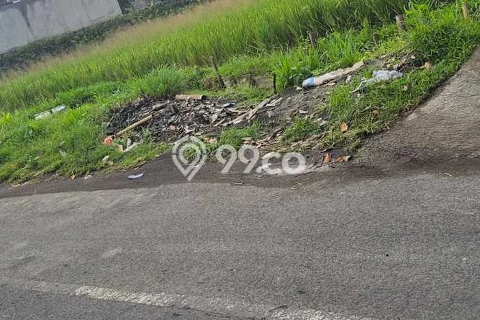 Lahan Dijual Lokasi Tegallalang, Gianyar dengan Luas Tanah 700m2 dan Status SHM Lahan Dijual Lokasi Tegallalang, Gianyar dengan Luas Tanah 700m2 dan Status SHM