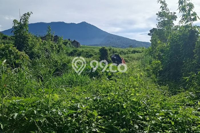 Lahan untuk Dijual Lokasi Baturiti, Tabanan Luas 7000m2 SHM Lahan untuk Dijual Lokasi Baturiti, Tabanan Luas 7000m2 SHM