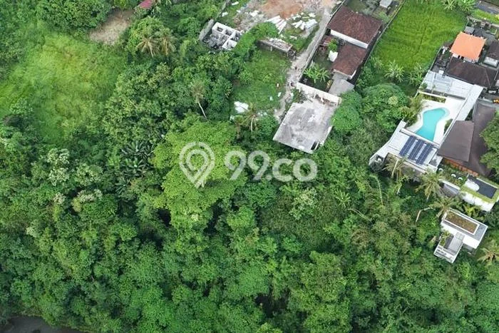 Tanah Dijual di Gianyar Seluas 4500m2 Strategis Tanah Dijual di Gianyar Seluas 4500m2 Strategis