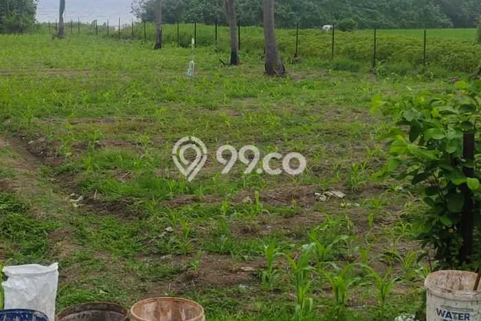 Tanah Kavling Dijual di Tibubiyu, Tabanan dengan Luas Tanah 2400m2 Tanah Kavling Dijual di Tibubiyu, Tabanan dengan Luas Tanah 2400m2