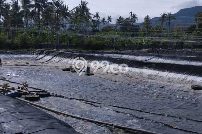 Tanah untuk Dijual di Gerokgak Buleleng Luas 22000m2 Tanah untuk Dijual di Gerokgak Buleleng Luas 22000m2