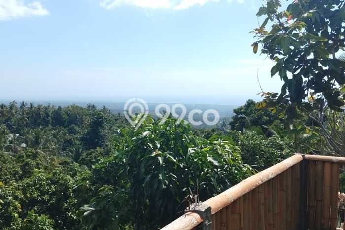 Lahan Investasi Lokasi Kubutambahan Buleleng SHM Lahan Investasi Lokasi Kubutambahan Buleleng SHM