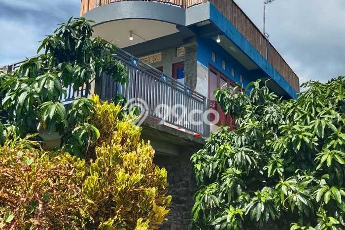 Lahan Investasi Lokasi Kubutambahan Buleleng SHM Lahan Investasi Lokasi Kubutambahan Buleleng SHM