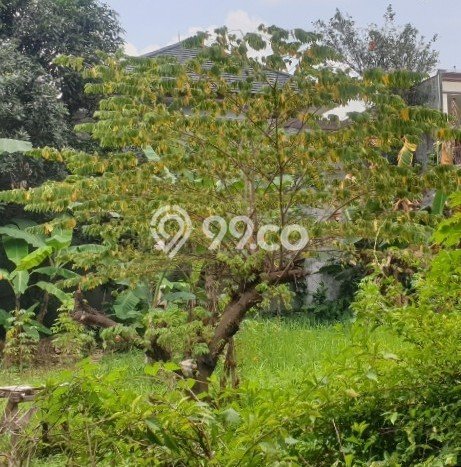 Lahan Strategis di Pesanggrahan Dijual dengan Luas 10000m2 Lahan Strategis di Pesanggrahan Dijual dengan Luas 10000m2