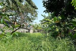 Tanah Kavling untuk Dijual di Pamulang Tangerang Selatan 498m2 Tanah Kavling untuk Dijual di Pamulang Tangerang Selatan 498m2