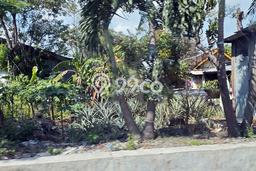 Kavling Tanah Dijual di Lakarsantri Surabaya Spesifikasi 2200m2 Kavling Tanah Dijual di Lakarsantri Surabaya Spesifikasi 2200m2