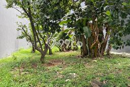 Kavling Tanah untuk Dijual di Pantai Indah Kapuk, Jakarta Utara, Luas 300m2 Kavling Tanah untuk Dijual di Pantai Indah Kapuk, Jakarta Utara, Luas 300m2