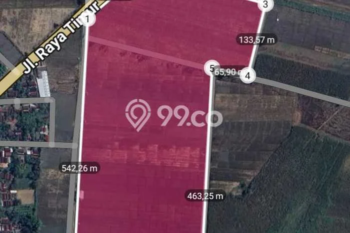 Tanah untuk Dijual Lokasi Gondang, Sragen Luas 150000m2 SHM Tanah untuk Dijual Lokasi Gondang, Sragen Luas 150000m2 SHM