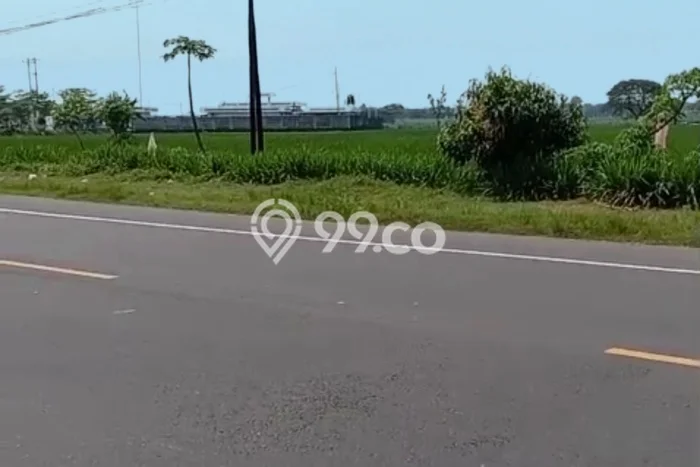 Tanah untuk Dijual Lokasi Gondang, Sragen Luas 150000m2 SHM Tanah untuk Dijual Lokasi Gondang, Sragen Luas 150000m2 SHM